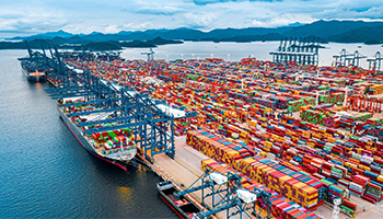Analysis of Core Product System and Market Demand of Professional Import & Export Trading Enterp
